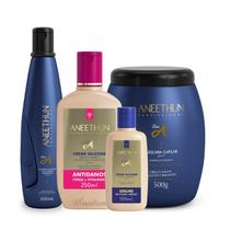 Kit Aneethun Linha A Hidratação Antidanos e Silicone 4 Produtos