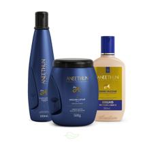 Kit Aneethun Linha A Hidratação Imediata 3 Produtos