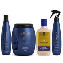 Kit Aneethun Linha A - Shampoo 300Ml + Cr. Silicone 250Ml + Masc. Capilar 500G + Spray Multibeneficios 150Ml