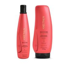 Kit Aneethun Restore Shampoo 300ml + Finalizador Restaurador 250g