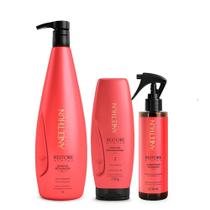 Kit Aneethun Restore System - Shampoo 1L + Máscara 250g + Acidificante 210ml