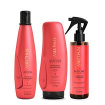 Kit Aneethun Restore System - Shampoo 300ml + Finalizador 250g + Acidificante Antidanos 210ml