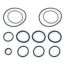 Kit Anel Vedação Oring Wap Quick Para 2 Pistões