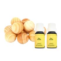 Kit Anti Mofo 10 Bolas Madeira + 2 Essência P/ Gavetas Sapatos Lar Fresh