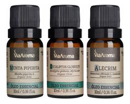 Kit Anti Rinite Óleo Essencial 100% Natural Puro Menta Peperita Alecrim Eucaliptus Globolus Kit Anti Rinite Óleo Essencial 100% Natural Puro Menta Peperita Alecrim Eucaliptus Globolus