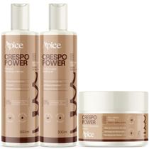 Kit Apice Crespo Power Shampoo 300ml Condicionador 300ml Máscara 300g