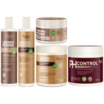Kit Apse Crespo Power 5 Produtos Anti Porosidade Capilar Completo Com Mascara Ph Control 500g Kit Apse Crespo Power 5 Produtos Anti Porosidade Capilar Completo Com Mascara Ph Control 500g