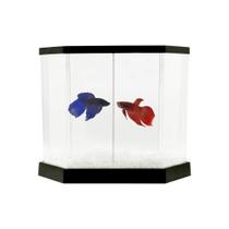 Kit aquário para peixe Betta - Beteira plástica Betta-Flex 5,5 litros - Transparente / Preto