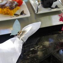 Kit Argola de Guardanapo - Borboleta - Inox Kit Argola de Guardanapo - Borboleta - Inox