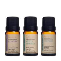 Kit Aromaterapia Depressão Lavanda Alecrim Menta 100% Puro Via Aroma
