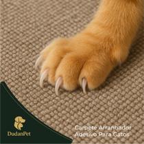 Kit Arranhador Protetor Adesivo Gatos Pet Sofá, Cama e Moveis Premium 30X50cm + BRINDE
