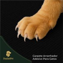 Kit Arranhador Protetor Adesivo Gatos Pet Sofá, Cama e Moveis Premium 30X50cm + BRINDE