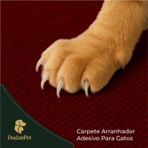 Kit Arranhador Protetor Adesivo Gatos Pet Sofá, Cama e Moveis Premium 30X50cm + BRINDE