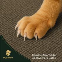 Kit Arranhador Protetor Adesivo Gatos Pet Sofá, Cama e Moveis Premium 30X50cm + BRINDE Kit Arranhador Protetor Adesivo Gatos Pet Sofá, Cama e Moveis Premium 30X50cm + BRINDE