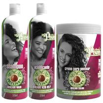 Kit Avocado Abacate Soul Power Shampoo + Acidificante + Creme De Pentear Tratamento Capilar Grande Kit Avocado Abacate Soul Power Shampoo + Acidificante + Creme De Pentear Tratamento Capilar Grande