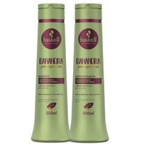 Kit Bananeira Haskell Pós Química Shampoo E Condicionador 500ml Kit Bananeira Haskell Pós Química Shampoo E Condicionador 500ml