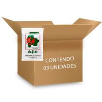 Kit Bancha Chá Verde Torrado e Natural Yamamotoyama - 3 Unidades de 200g Kit Bancha Chá Verde Torrado e Natural Yamamotoyama - 3 Unidades de 200g