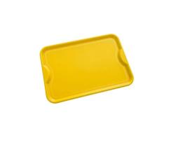 Kit Bandeja Plástica Para Festas c/ 20 pçs Cores Sortidas 48x33