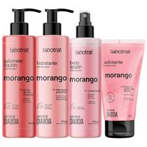 Kit Banho Premium Labotrat Morango Completo 4 Produtos C/ Body Splash Cheiro De Fruta Corpo E Rosto Kit Banho Premium Labotrat Morango Completo 4 Produtos C/ Body Splash Cheiro De Fruta Corpo E Rosto