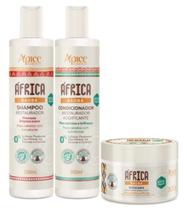 Kit Baobá África Shampoo Cond. 300ml E Máscara 300g Apice Kit Baobá África Shampoo Cond. 300ml E Máscara 300g Apice