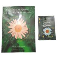 Kit Baralho das Almas e Livro Sonia Boechat Salema Kit Baralho das Almas e Livro Sonia Boechat Salema