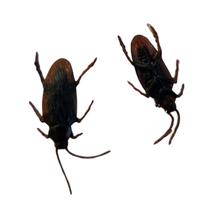 Kit Baratas Halloween decoração pegadinha C/12 borracha Kit Baratas Halloween decoração pegadinha C/12 borracha