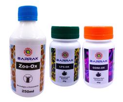 Kit barrak zoo-ox lps-ox goni-ox (zooxantela/euphyllia/goniopora)