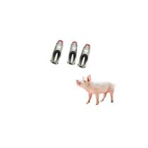 KIT Bebedouro Chupeta Suíno Porco Adulto Inox 7cm