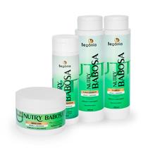 Kit Begonia Nutry Babosa Kit Begonia Nutry Babosa