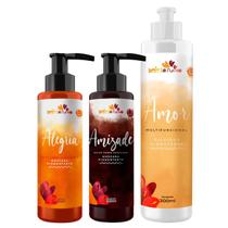 Kit Beleza Ruiva Tonalizante Alegria, Amizade e Diluidor Amor - 300ml