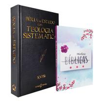 Kit Bíblia de Estudo Teologia Sistemática NVI + Minhas Anotações Bíblicas - Aquarela