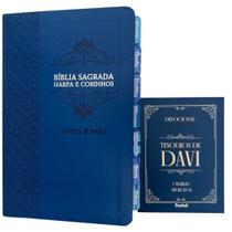 Kit Bíblia Letra Jumbo Azul com abas adesivas coladas + devocional tesouros de Davi