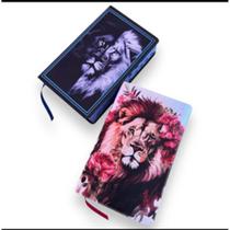 KIT BÍBLIA SAGRADA CASAL ARC LETRAS HIPERGIGANTE COM HARPA E CORINHOS ref DAVI + FLORA