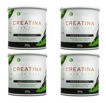 Kit Bioroots Creatina Em Pó 100% Pure Com 4 UnI De 300g Ca