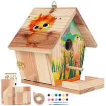 Kit Bird House WIZGSZ DIY com conjunto de pintura para crianças e adultos Kit Bird House WIZGSZ DIY com conjunto de pintura para crianças e adultos