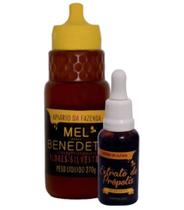 Kit Bisnaga de Mel 270g e Própolis 30ml