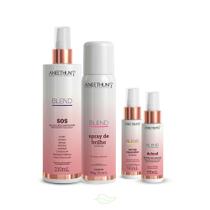 Kit Blend Aneethun Com 4 Produtos Tratamento Multicuidados Kit Blend Aneethun Com 4 Produtos Tratamento Multicuidados