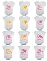 Kit body mesversario passarinhos 12 bodies de bebê
