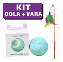 Kit Bolinha Brinquedo Interativo + Varinha Penas Sino Para Gatos Bola