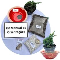 Kit Bonsai Faça Você Mesmo Com Uma Muda De Shimpaku - Vaso Cerâmica Vermelho