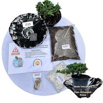 Kit Bonsai Faça Você Mesmo Com Uma Muda De Tuia Jacaré - Vaso Artesanal Preto