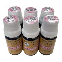 Kit Box 6 Óleos Essenciais Hidrossolúveis 10ml-Escolha o Seu