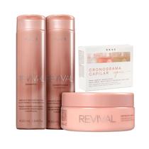 Kit Braé Revival - Shampoo 250ml + Condicionador 250ml + Máscara 200g + Cronograma de Ampolas Repair (3 AMPOLAS) 13ml