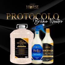 Kit Brilho Neutro - Cuidados para uma pelagem brilhante e saudável Versão 5L