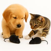 Kit Brinquedo Rato Ratinho Pet Para Gatos Com Apito Vinil Veludo Antiestresse Divertido 50 Unidades