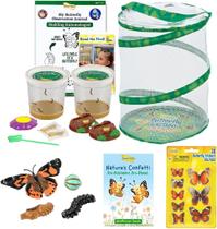 Kit Butterfly Garden Insect Lore Butterfly com lagartas vivas