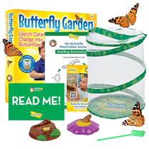 Kit Butterfly Garden Insect Lore Painted Lady com voucher