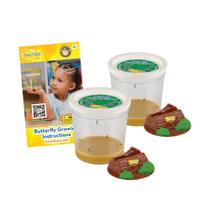 Kit Butterfly Garden Refil Insect Lore com 2 xícaras de lagartas