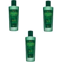 KIT C/ 03 Deo Colônia Lavanda Classic KANITZ 780ml