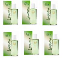 KIT C/ 06 DES. MAUÁ VERT LAVANDA 120ml